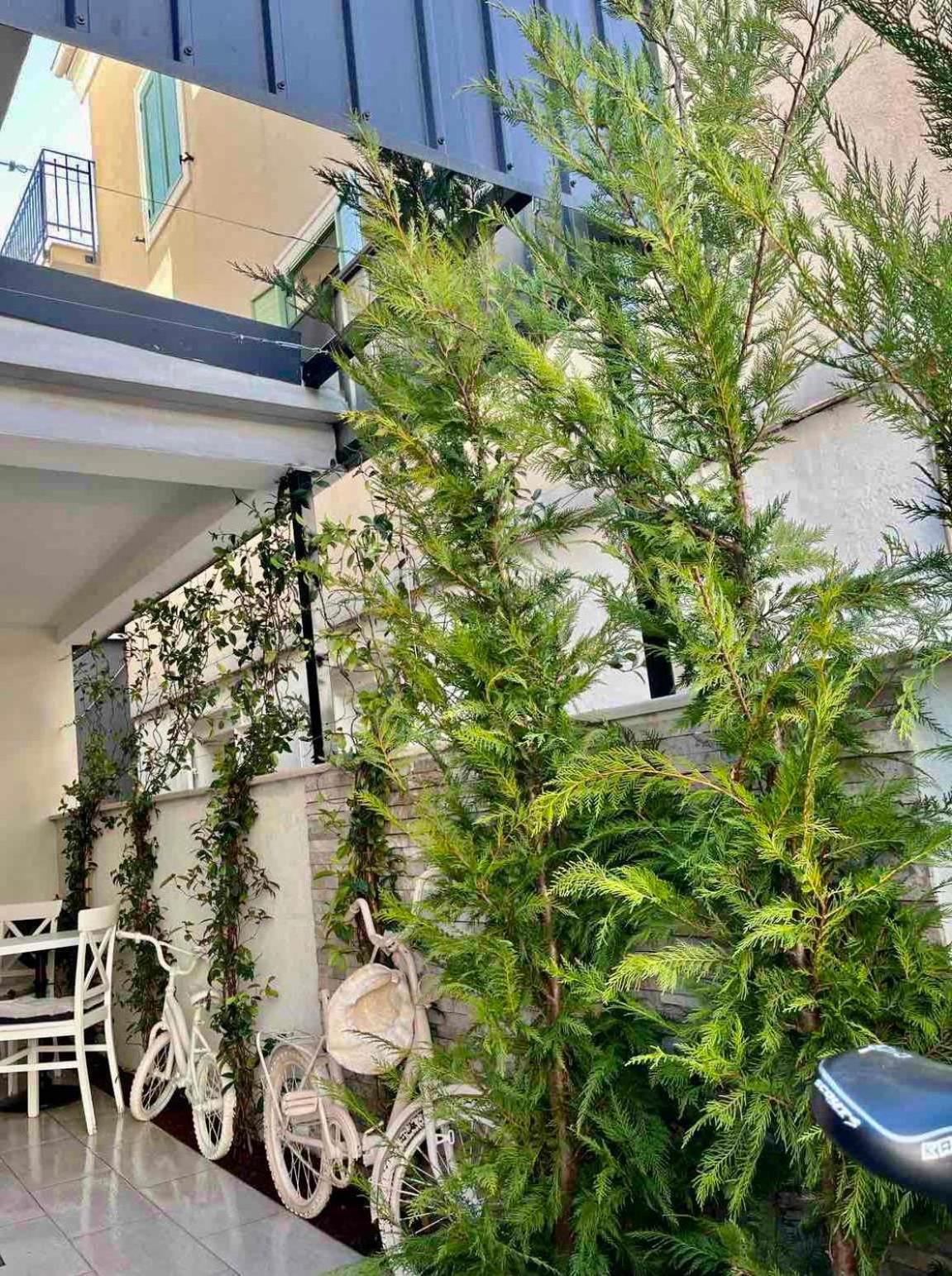 Garni Hotel Tianis Kotor Exterior foto